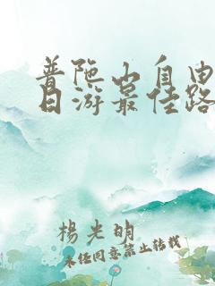 普陀山自由行一日游最佳路线