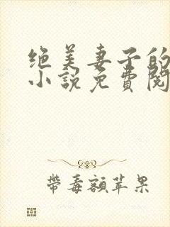 绝美妻子的秘密小说免费阅读