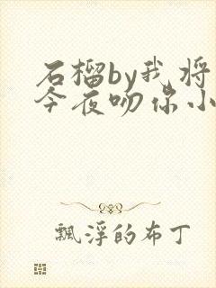 石榴by我将在今夜吻你小说