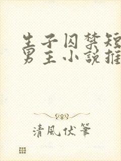 生子囚禁短篇双男主小说推荐