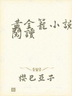 黄金笼小说免费阅读