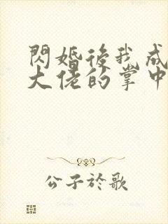 闪婚后我成为了大佬的掌中之物