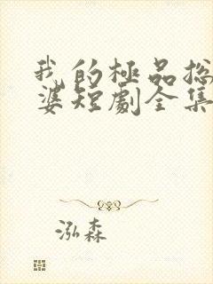 我的极品总裁老婆短剧全集免费下载