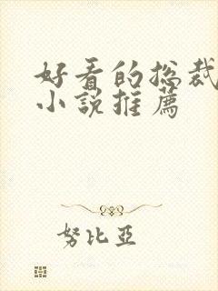 好看的总裁言情小说推荐