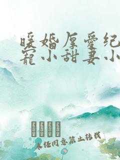 暖婚厚爱纪总独宠小甜妻小说