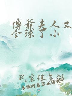 傅爷夫人又惊艳全球了小