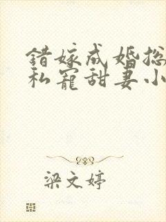 错嫁成婚总裁的私宠甜妻小说完整版