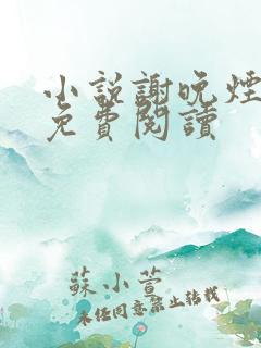 小说谢晚烟沈煜免费阅读