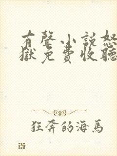 有声小说怒龙出狱免费收听