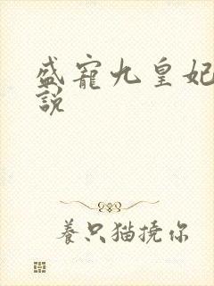 盛宠九皇妃 小说