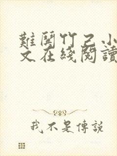 难哄竹己小说全文在线阅读