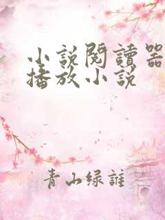 小说阅读器自动播放小说