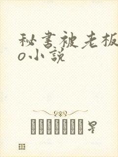 秘书被老板cao小说