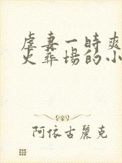 虐妻一时爽追妻火葬场的小说