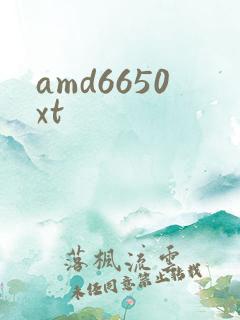 amd6650xt