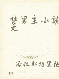 双男主小说穿越文