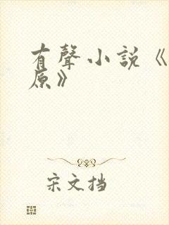 有声小说《白鹿原》