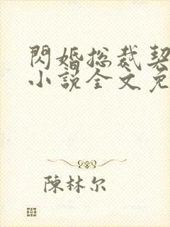 闪婚总裁契约妻小说全文免费完结版