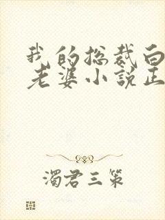 我的总裁白富美老婆小说正版