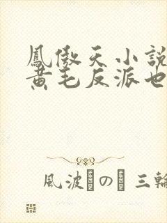 凤傲天小说里的黄毛反派也想幸小说