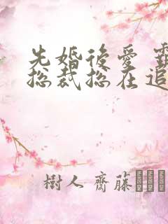 先婚后爱 霸道总裁总在追妻