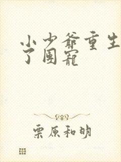 小少爷重生后成了团宠