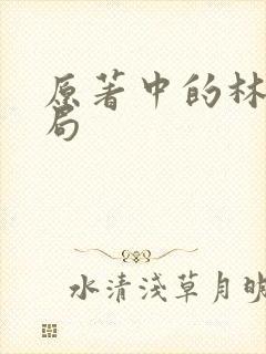 原著中的林彬结局