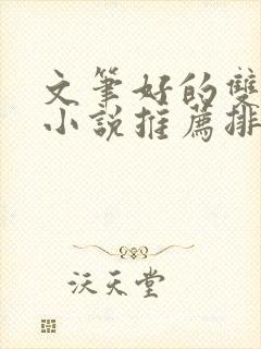 文笔好的双男主小说推荐排行榜