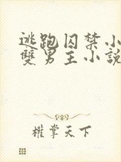 逃跑囚禁小少爷双男主小说推荐完结文