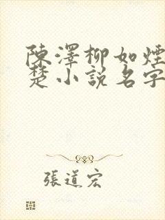 陈泽柳如烟沈幼楚小说名字叫什么