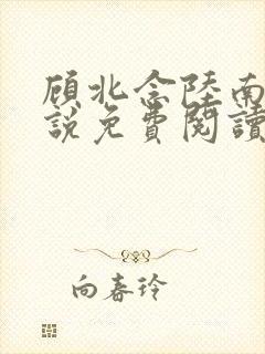 顾北念陆南辰小说免费阅读无弹窗