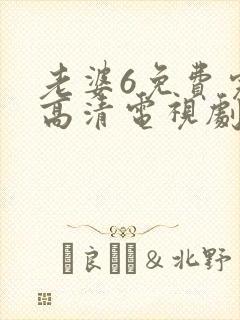 老婆6免费完整高清电视剧