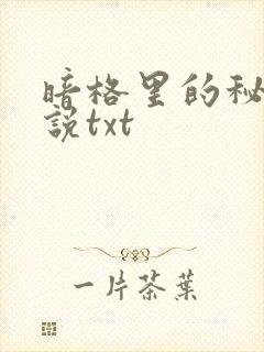 暗格里的秘密小说txt