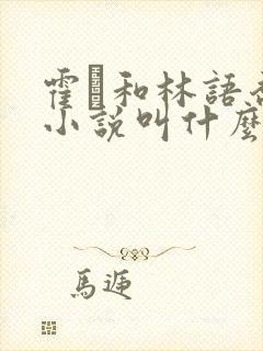 霍玦和林语乔的小说叫什么名字