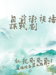 目前卫视播放的谍战剧