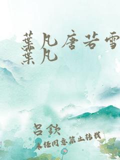 叶凡唐若雪王婿叶凡