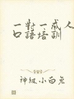 一对一成人英语口语培训