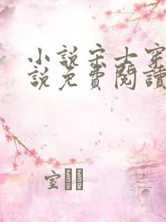 小说宋士穿越小说免费阅读