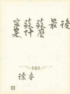 宁苏苏最后结局是什么