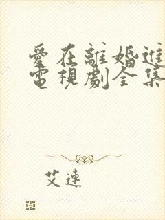 爱在离婚进行时电视剧全集免费观看