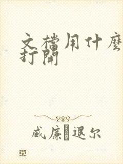 文档用什么软件打开