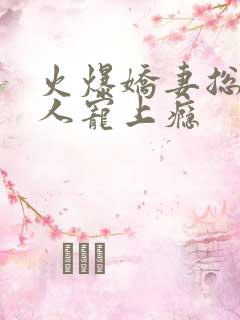 火爆娇妻总裁大人宠上瘾