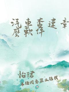 汽车查违章用什么软件