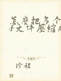 怎么把多个pdf文件压缩成压缩包