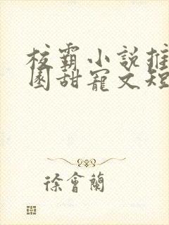 校霸小说推荐校园甜宠文短篇