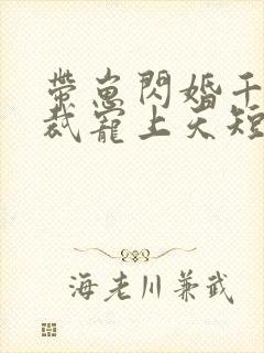 带崽闪婚千亿总裁宠上天短剧