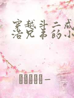 穿越斗二成霍雨浩兄弟的小说