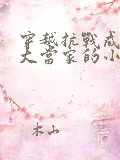 穿越抗战成土匪大当家的小说