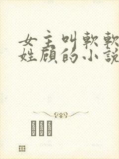 女主叫软软男主姓顾的小说