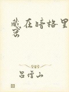 藏在暗格里的秘密